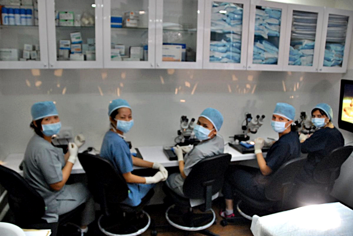 hair transplant KL 