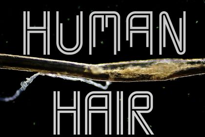 human hair